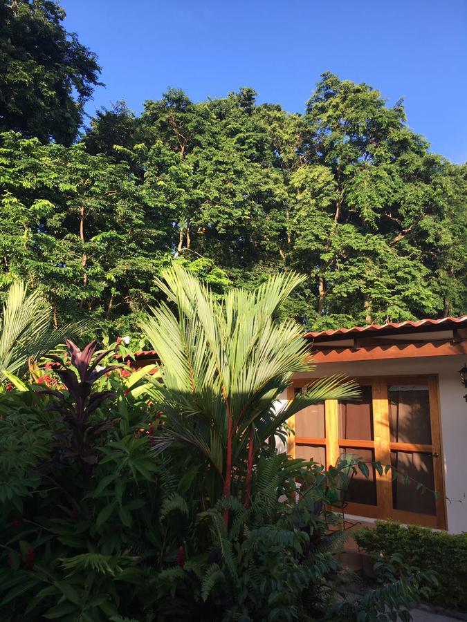 Hotel Indalo Adults Only Puerto Viejo de Talamanca Exterior photo